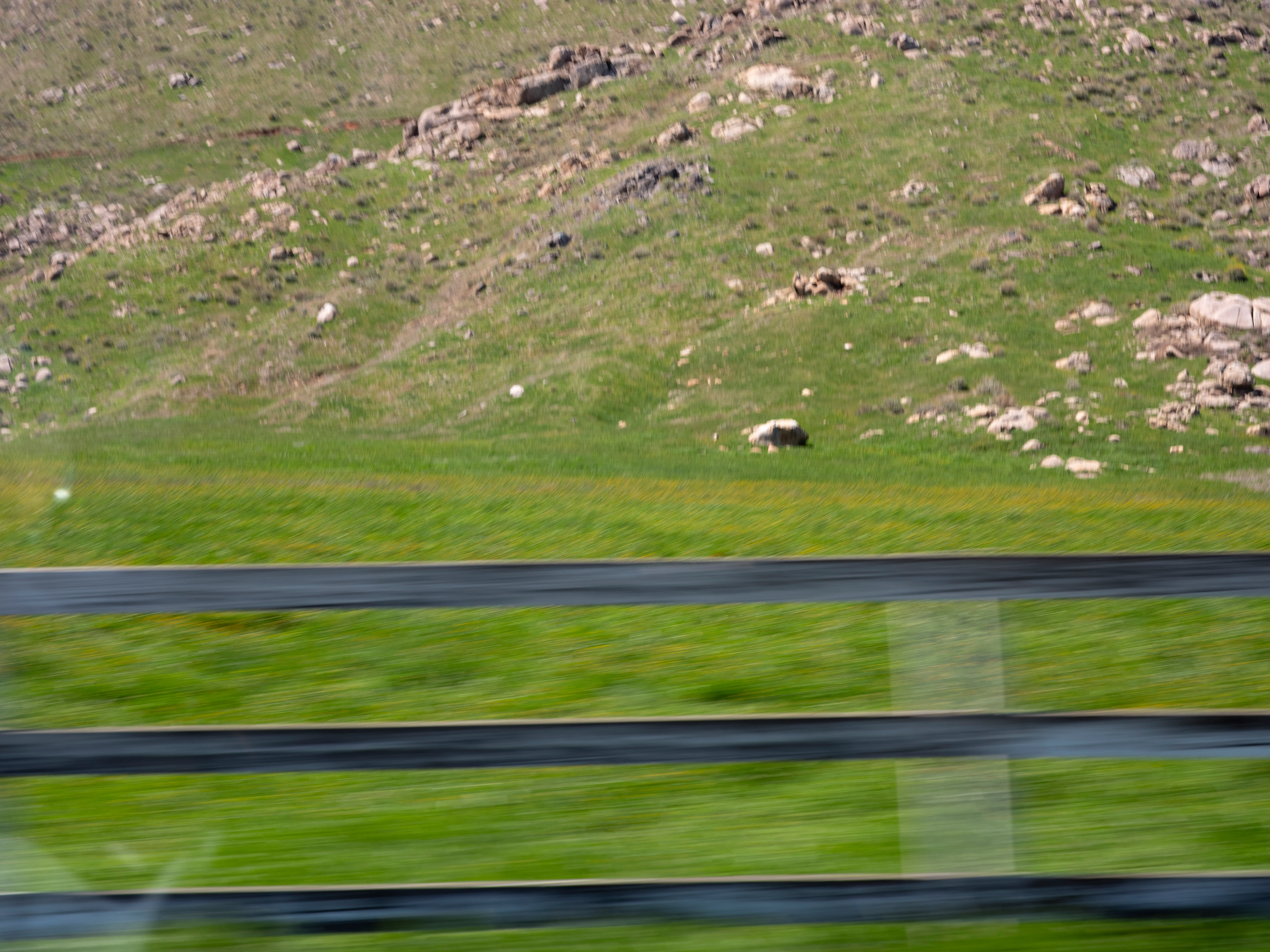 Love Never Dies, 2025 (1/5)