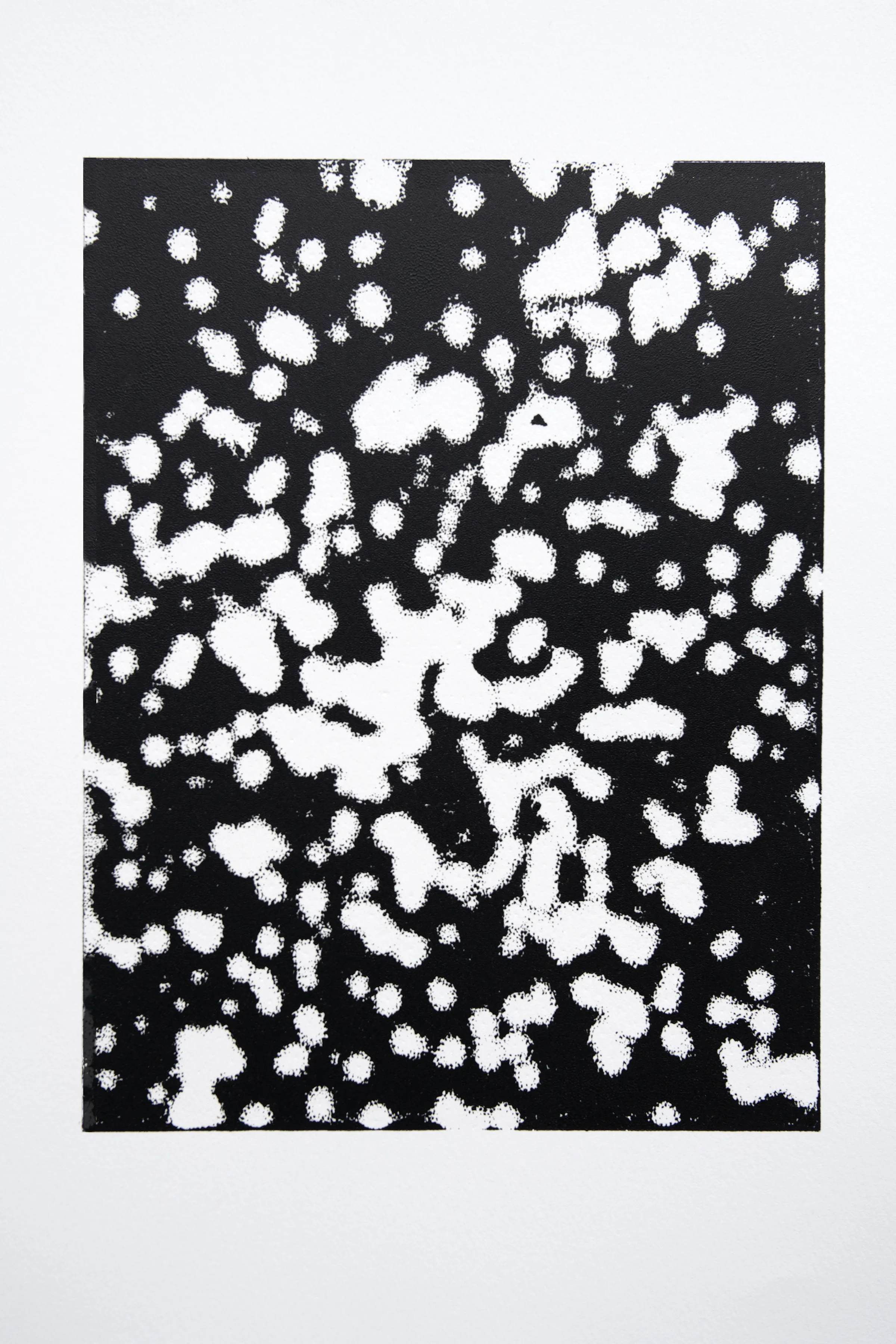 Prairie Seed Print No. 2, 2024