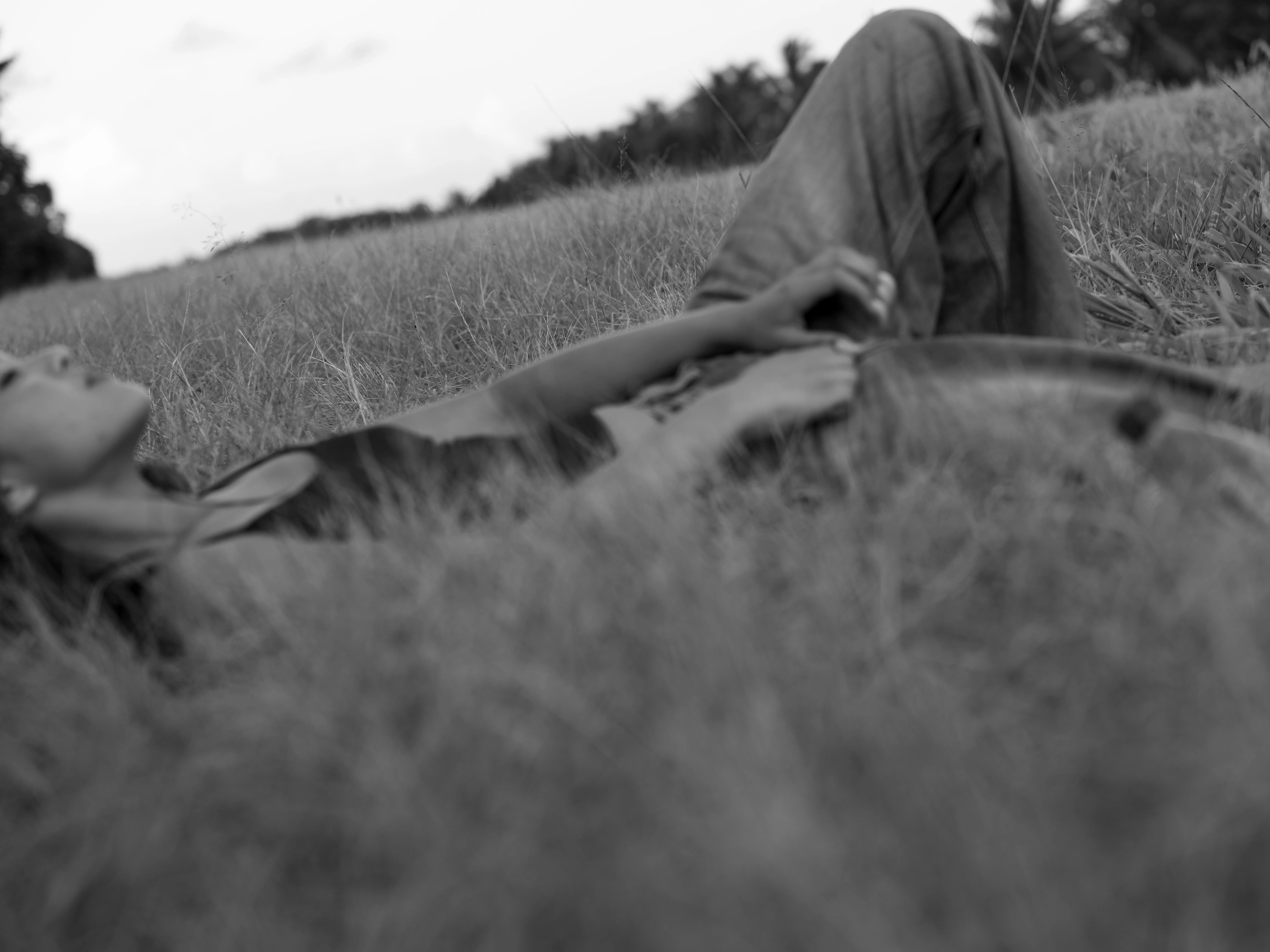 Love Never Dies, 2025 (5/5)