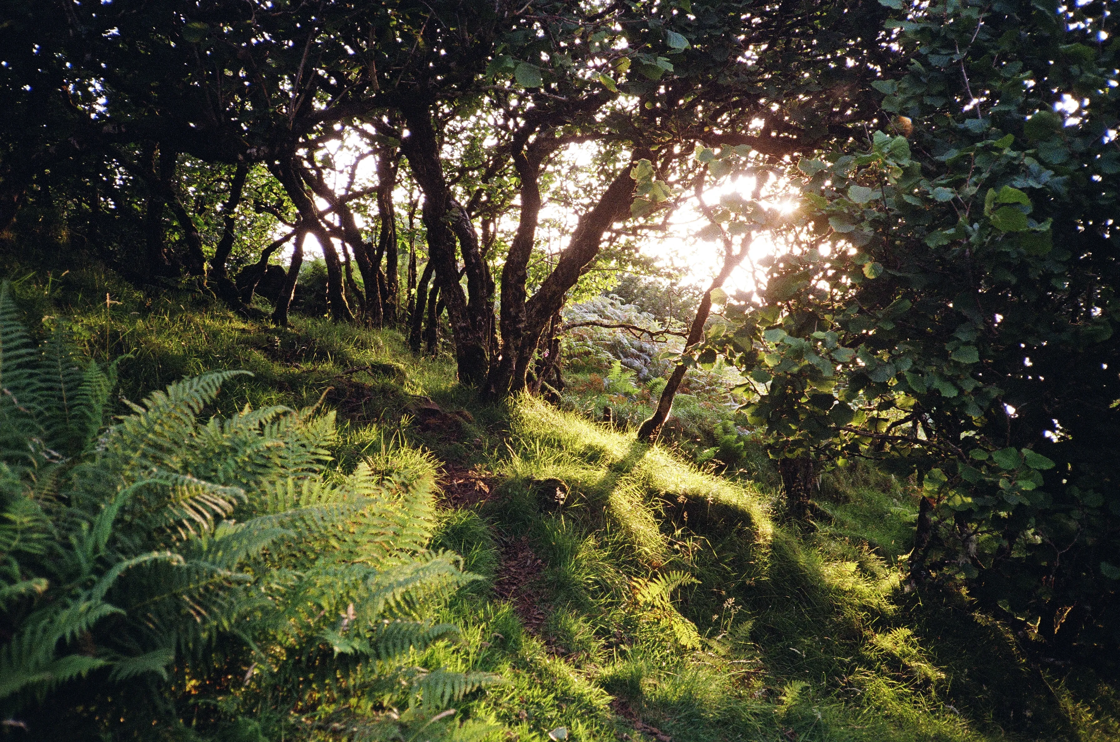 Before I was Man, I was Unbearably Light, 2025