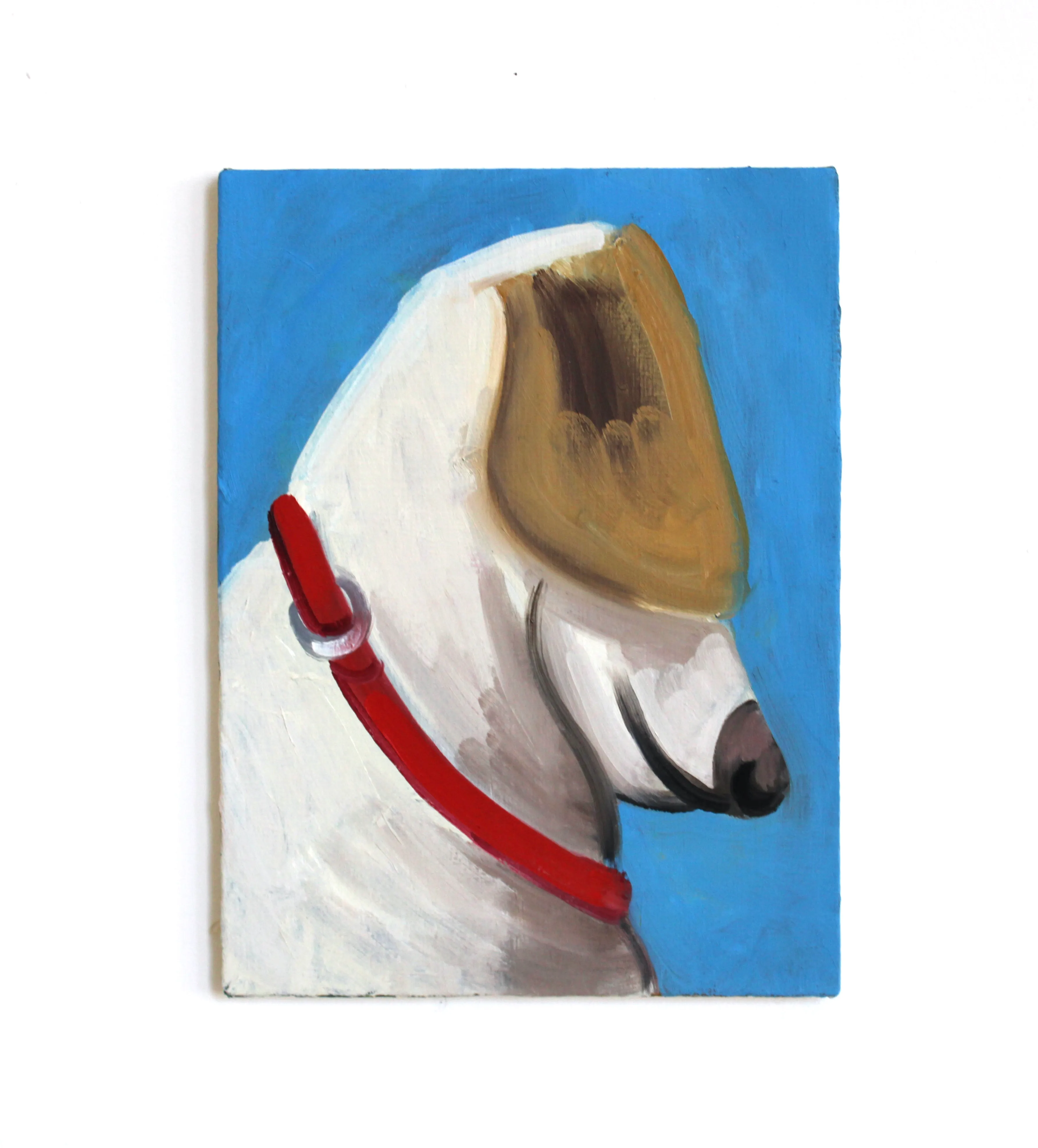 Shy dog, 2024